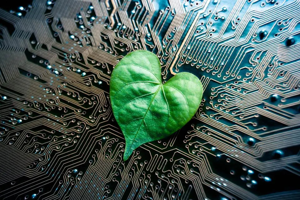 Sustainability and Tech: A Greener Future Powered by Innovation