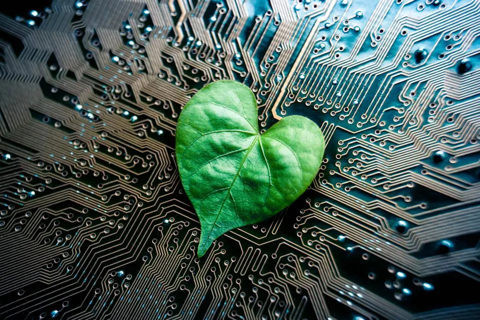 Sustainability and Tech: A Greener Future Powered by Innovation