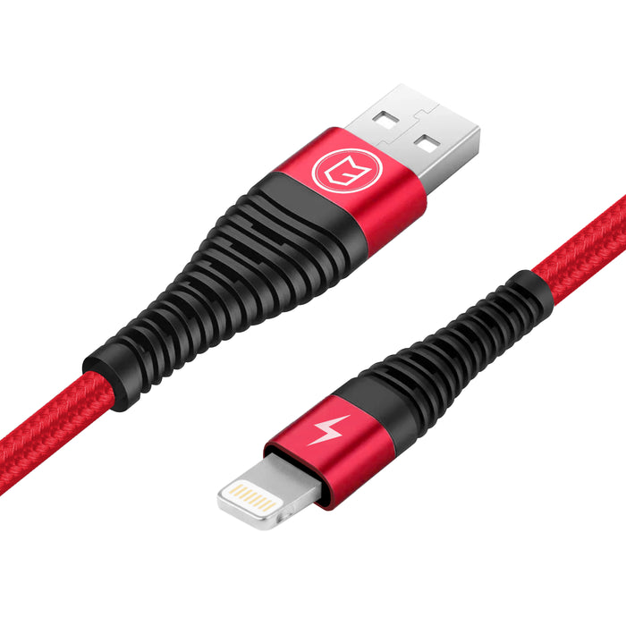 C3 High-Speed Data Sync & Charge Braided iPhone iPod iPad Cable